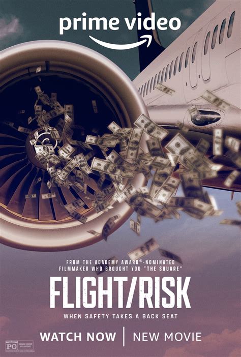 m4ufree flight/risk